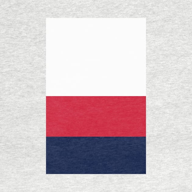 England Home Rugby Tricolour by Culture-Factory